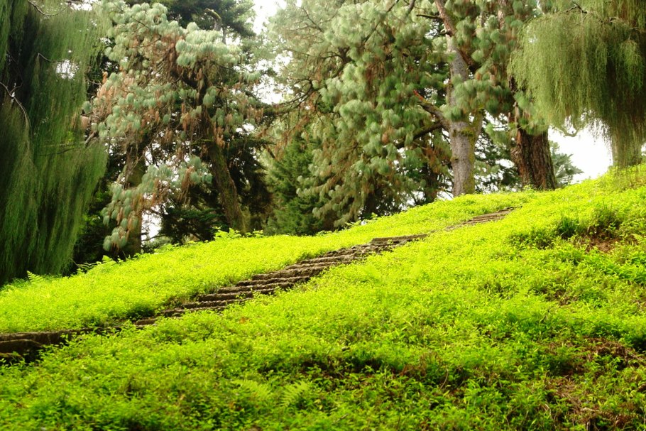 Батуми Центральный парк