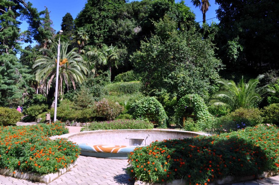 Ботанический сад Грузия Батуми