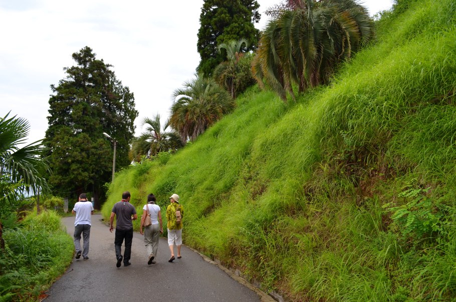 Ботанический сад Чакви