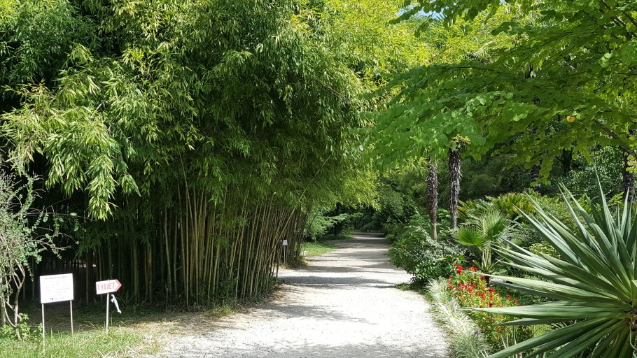 Батумский Ботанический сад Батуми