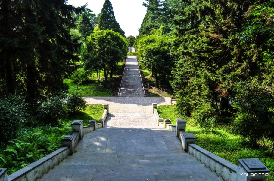 Ботанический парк Батуми