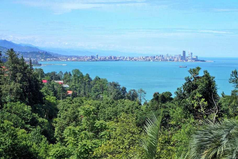 Аджария фруктовые сады