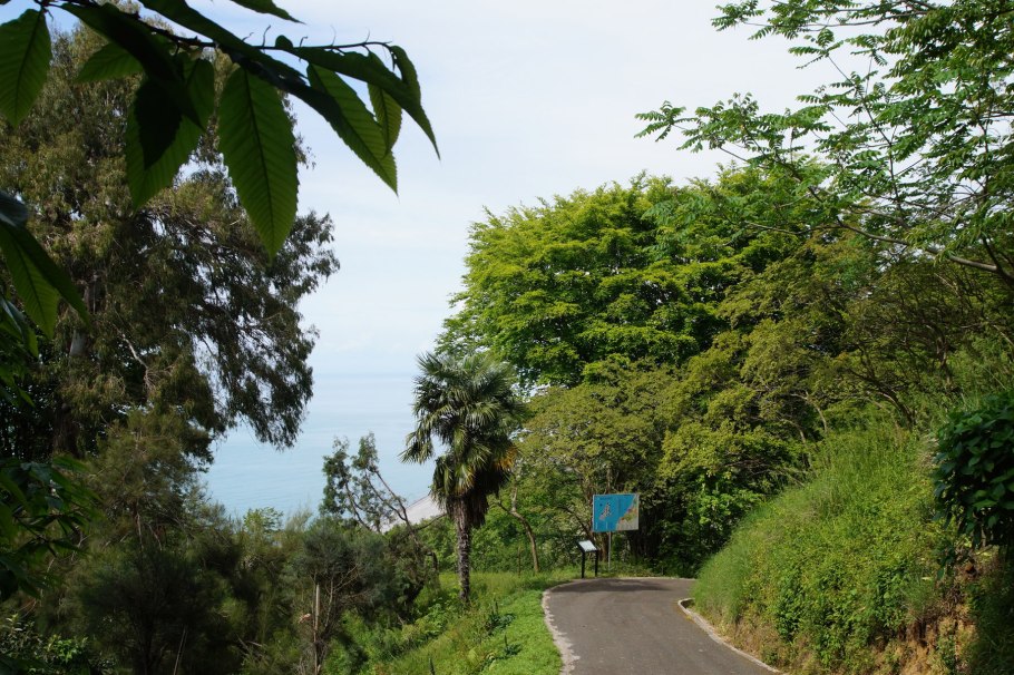 Дендрарий Батуми