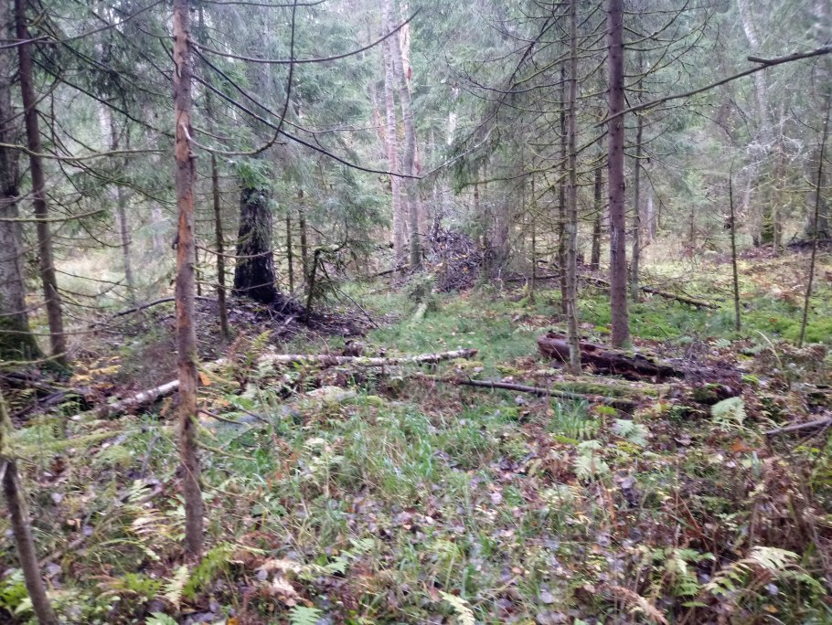 УАЗ Патриот в грязи на бездорожье