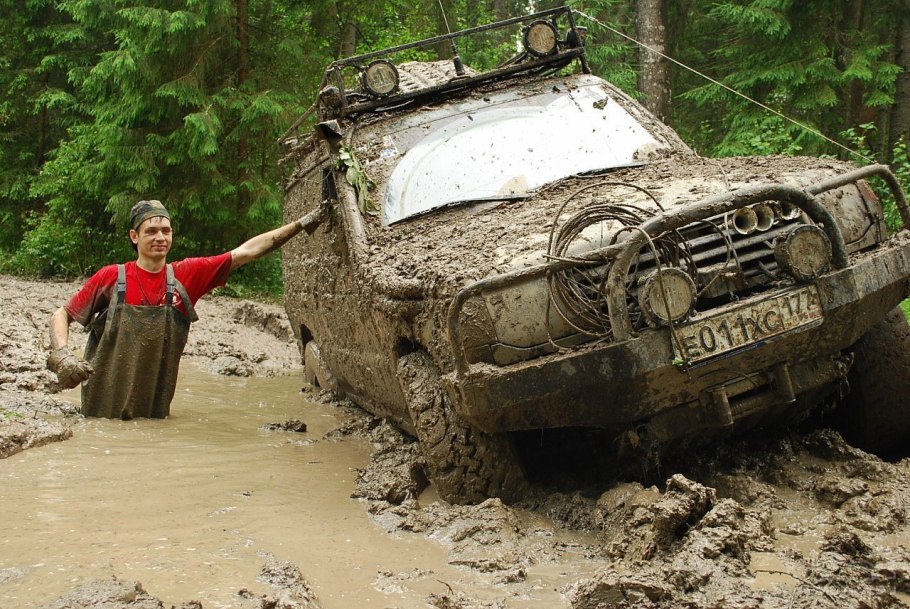 Болотистые леса Юрского периода