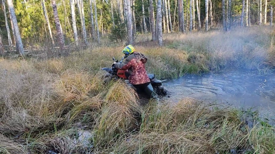 Тайга хвойный Бор НЕПРОХОДИМАЯ