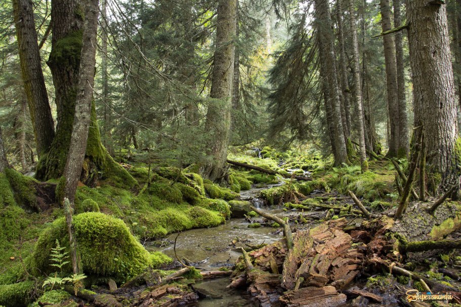 УАЗ 469 Тайга