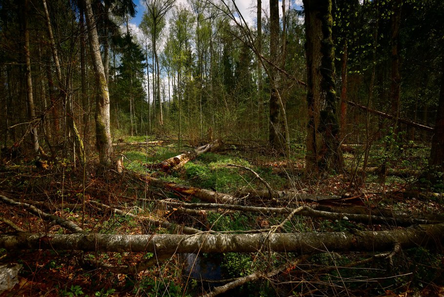 Замес в грязи