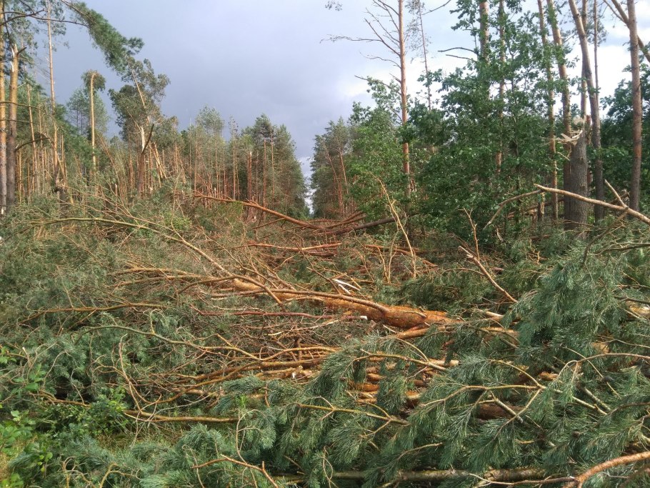 Off Road дорога