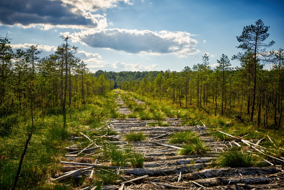 Преодоление заболоченных участков