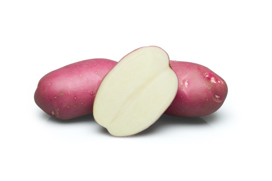 Сорт картофеля Розара