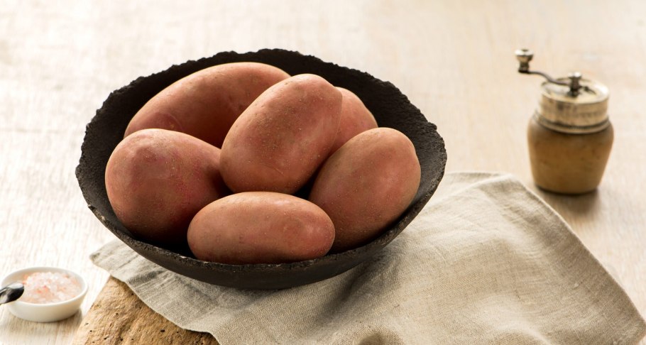 Сорт картофеля санибель