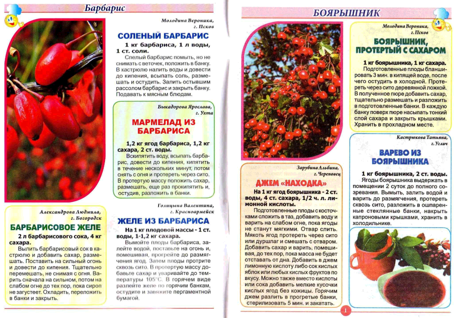 Барбарис Амурский ареал