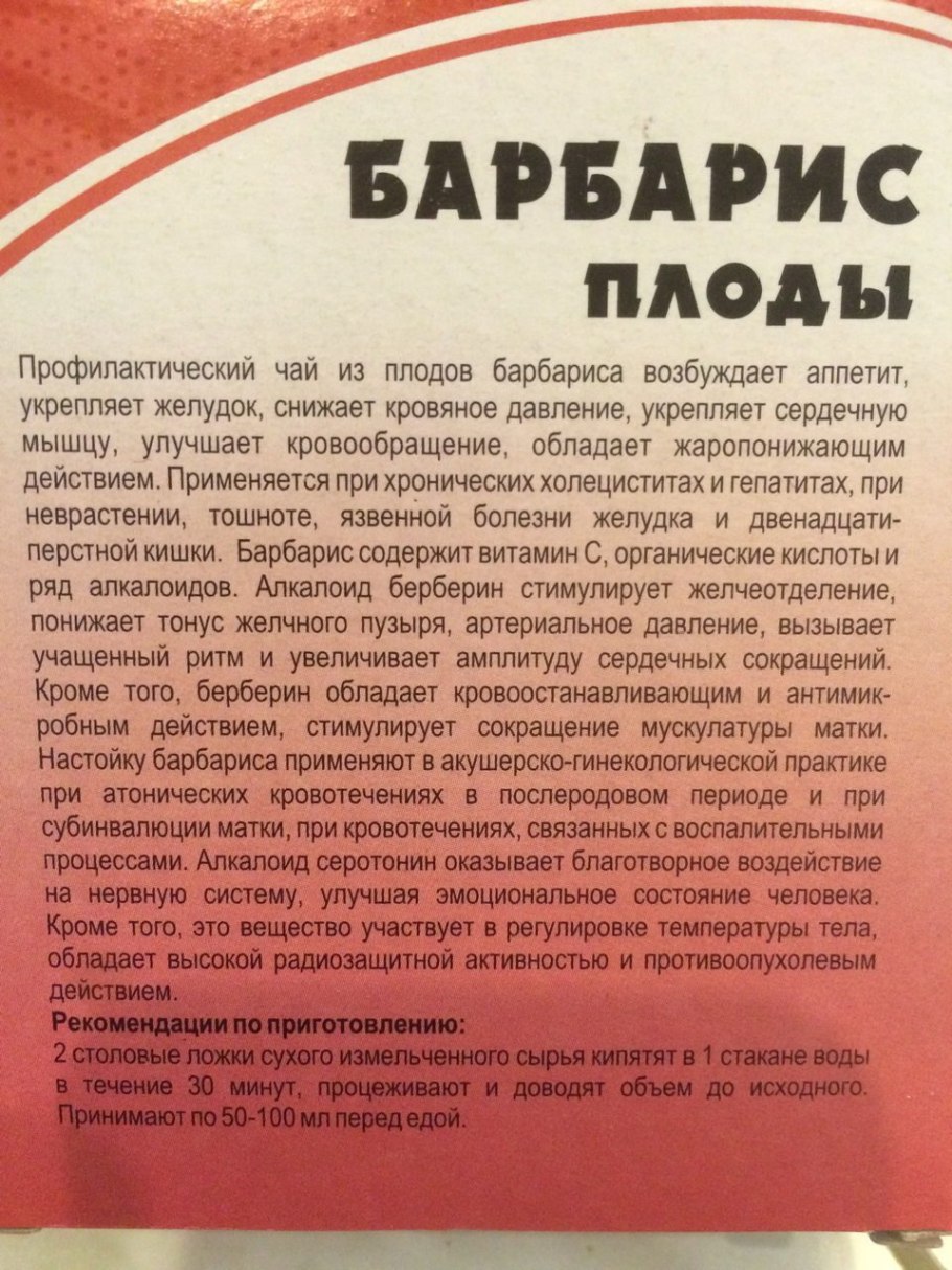 Барбарис Тунберга обыкновенный