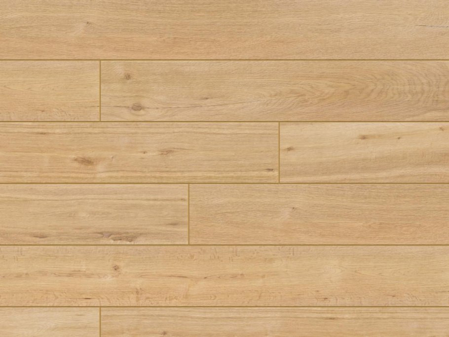 Дуб черешчатый Таганрог