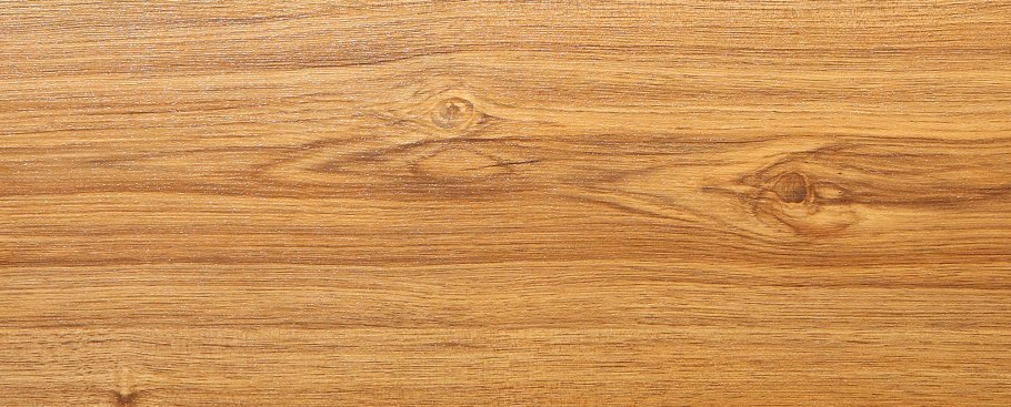 Дальневосточный морской заповедник густоцветковая сосна