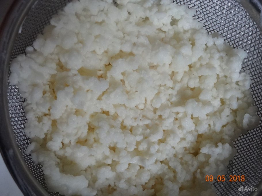 Молочный грибок