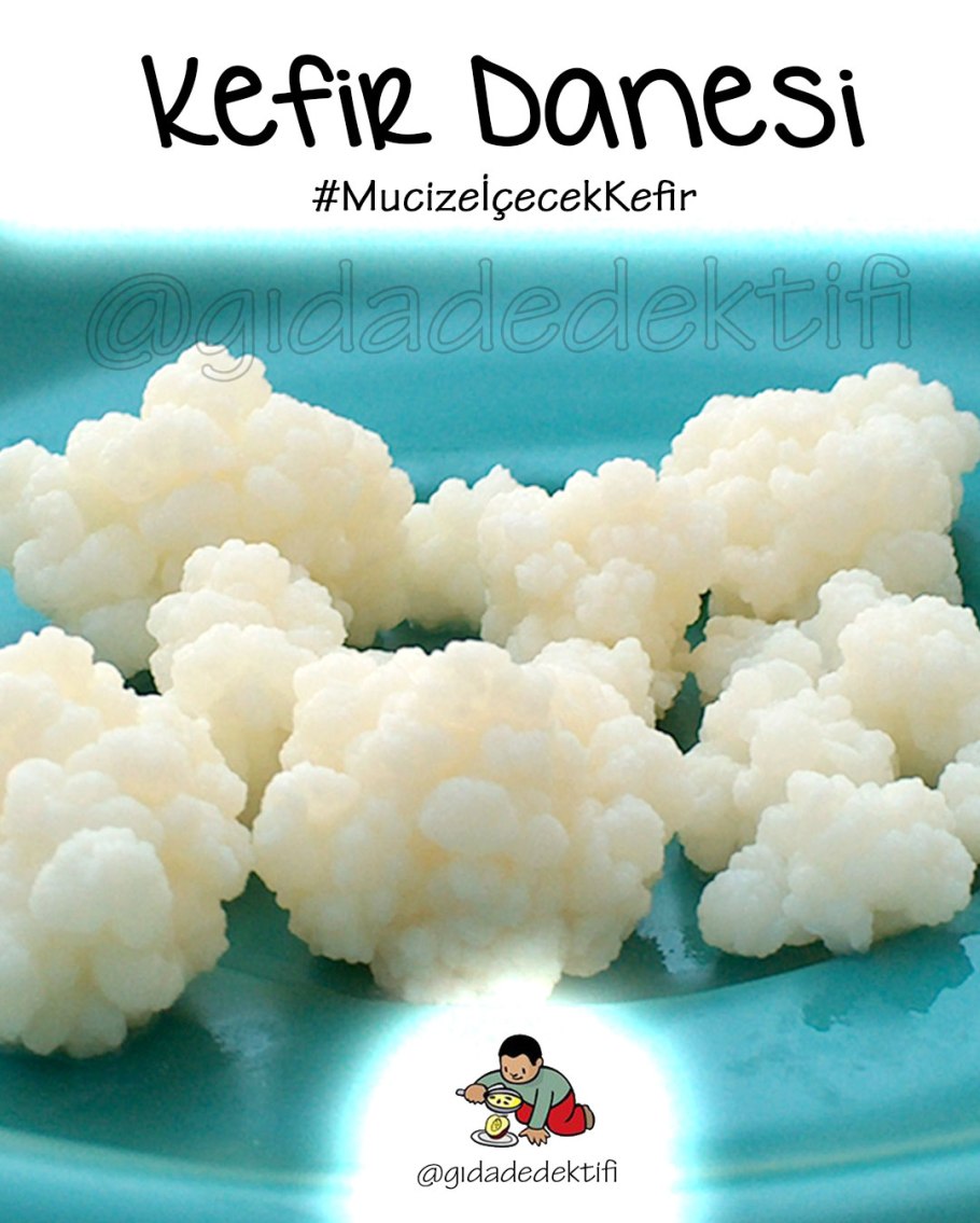 Тибетский молочный гриб в аптеке