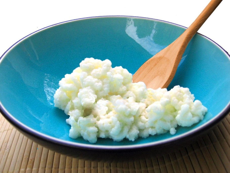 Молочный гриб