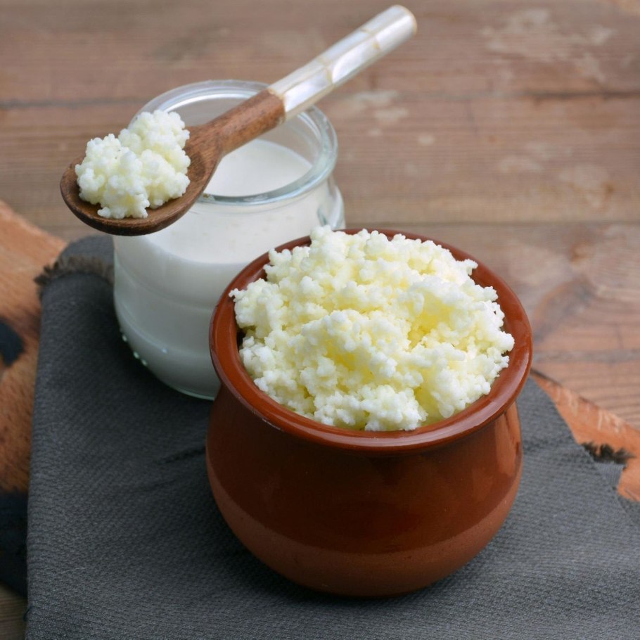 Закваска молочный гриб