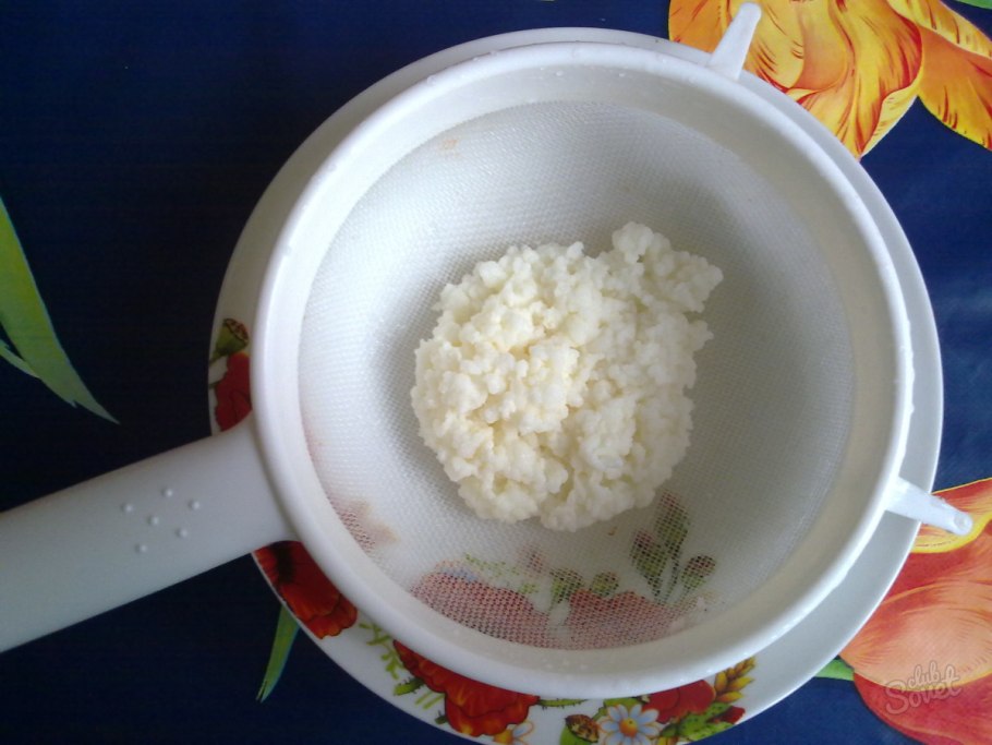 Тибетский кефирный гриб