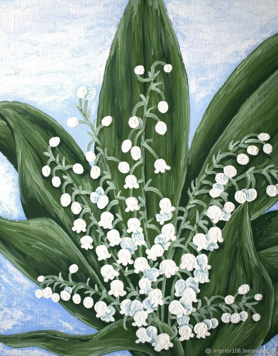 Белоцветник луковицы