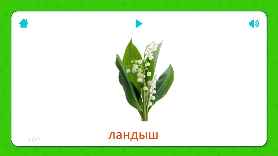 Ландыш Майский (Convallaria Majalis l.)