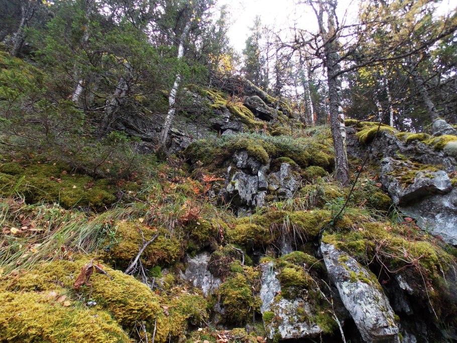 Тропа Южный Урал