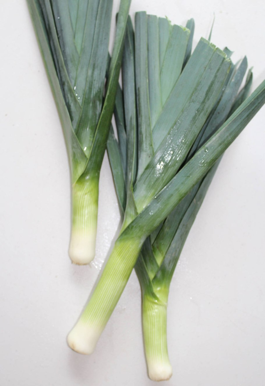 Leek fat Burning