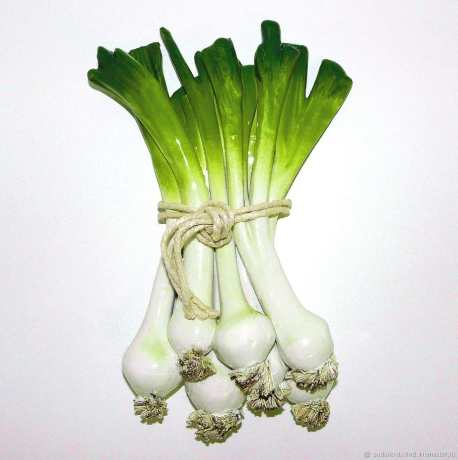 Welsh Leek