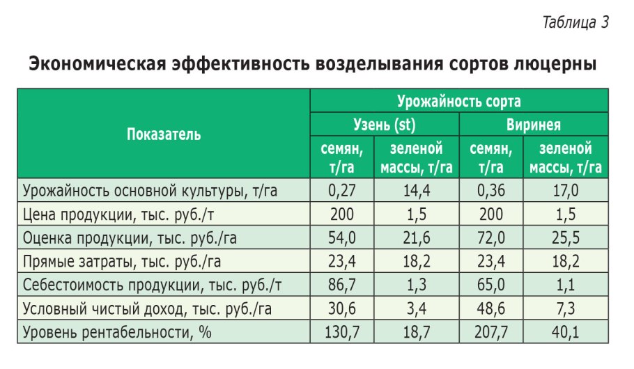 Сидерат овес Яровой