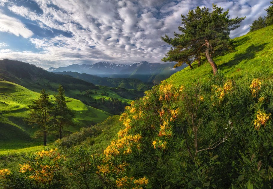 Понтийские горы Турция