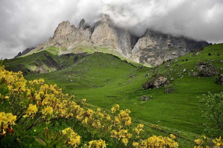 Заповедники Ингушетии