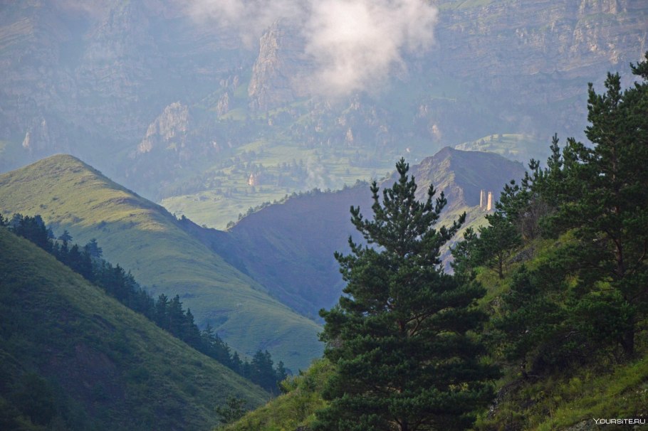 Беркут Байкал