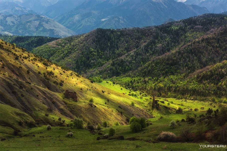 Территория заповедника Эрзи