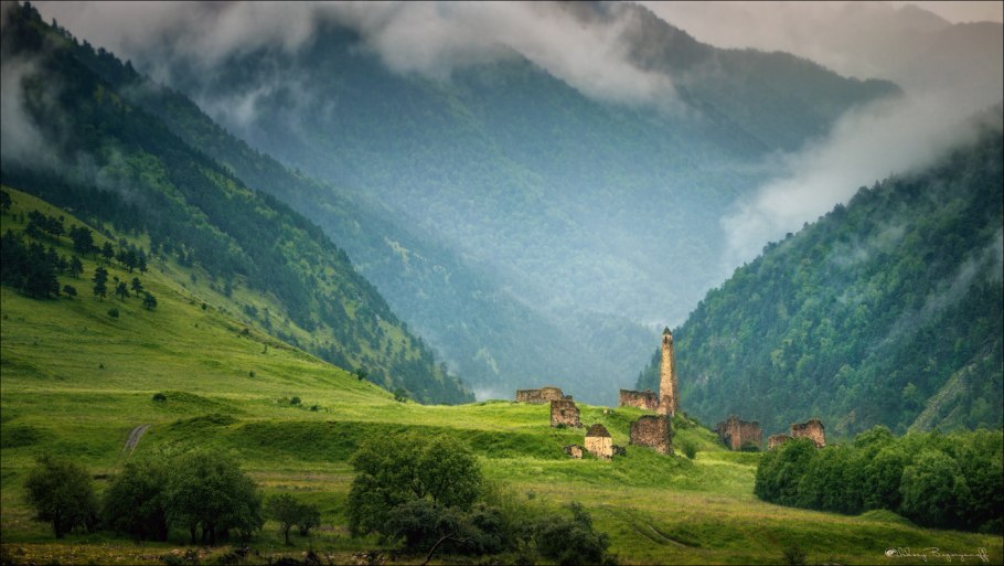 Беркут Северный Кавказ