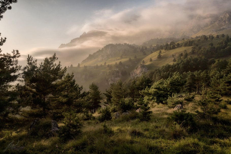 Эрзи дорога