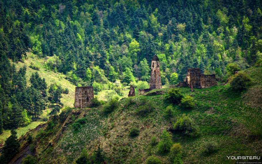 Заповедник Эрзи Ингушетия животные