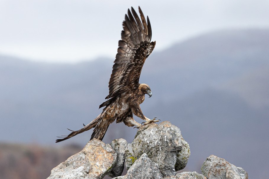 Ингушский государственный заповедник