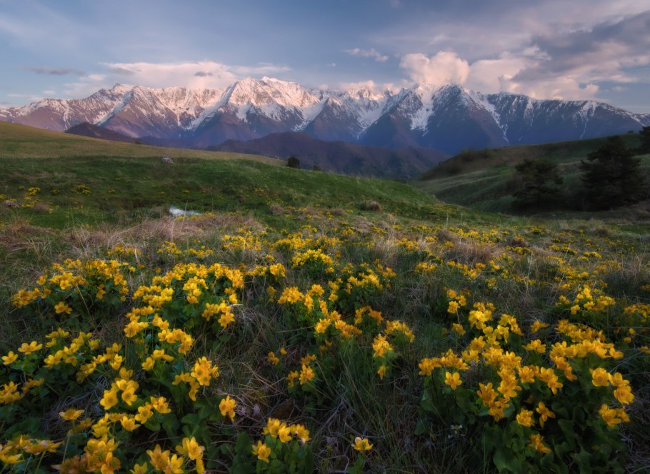 Альпийские Луга в Ингушетии