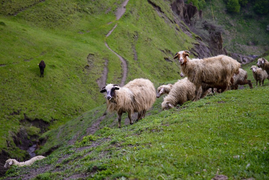 Природный заповедник Эрзи