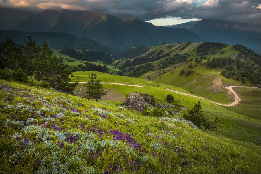 Территория заповедника Эрзи