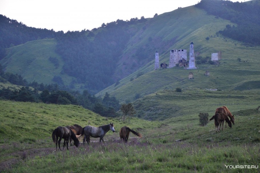 Климат Ингушетии