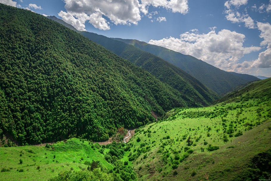 Заповедник Эрзи животный мир
