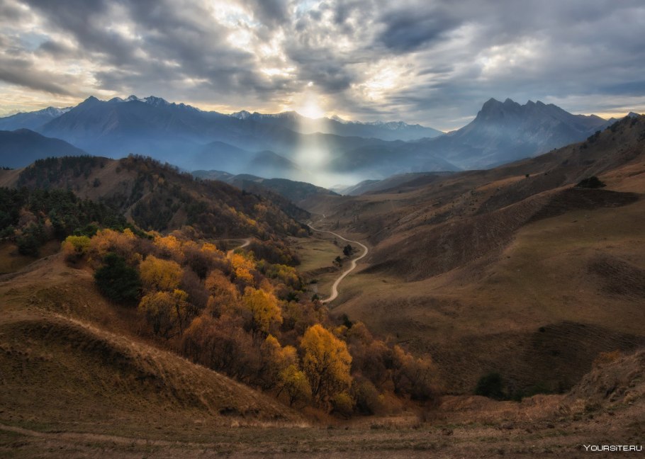 Растения эндемики горы Фишт