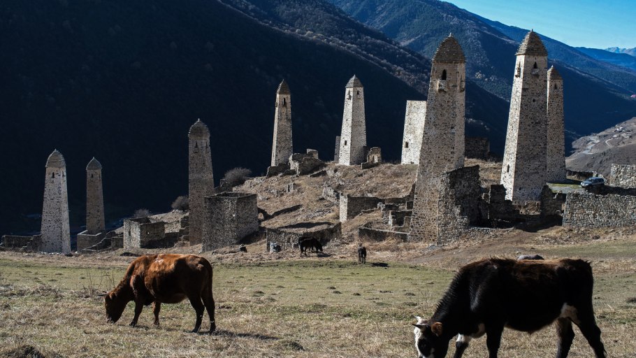 Заповедник Эрзи