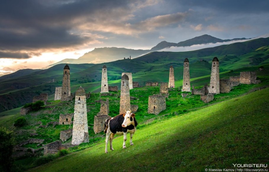 Кавказский биосферный заповедник растения