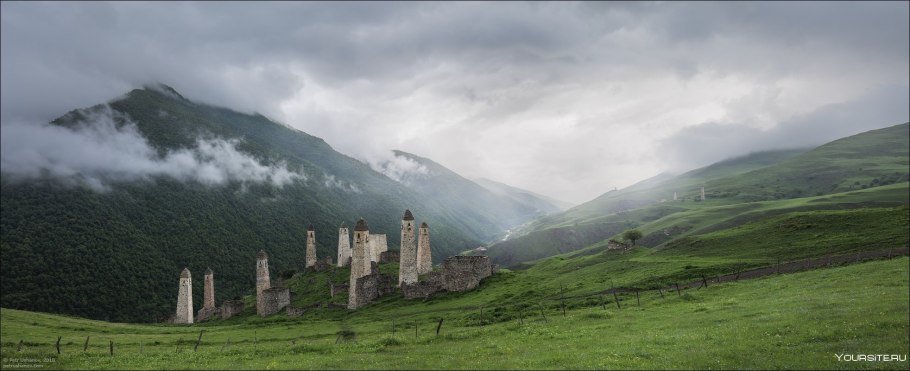 Рододендрон горный кавказский