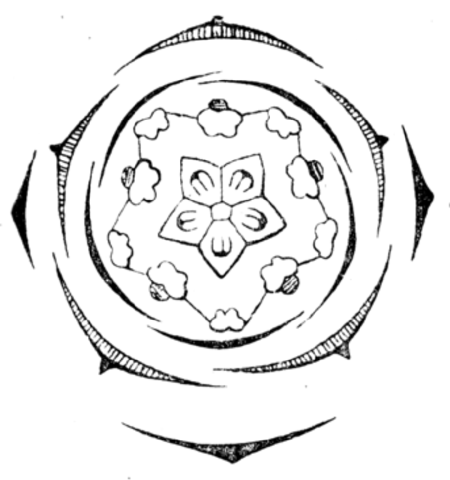 Герань Луговая диаграмма цветка