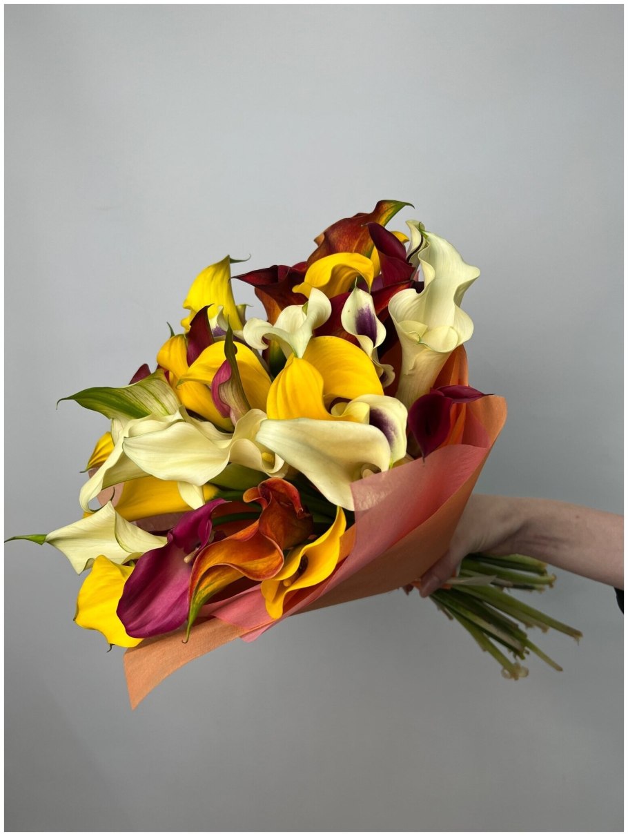 Зантедеския цветы в кашпо